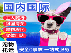 东极空运代理国际宠物托运 【国